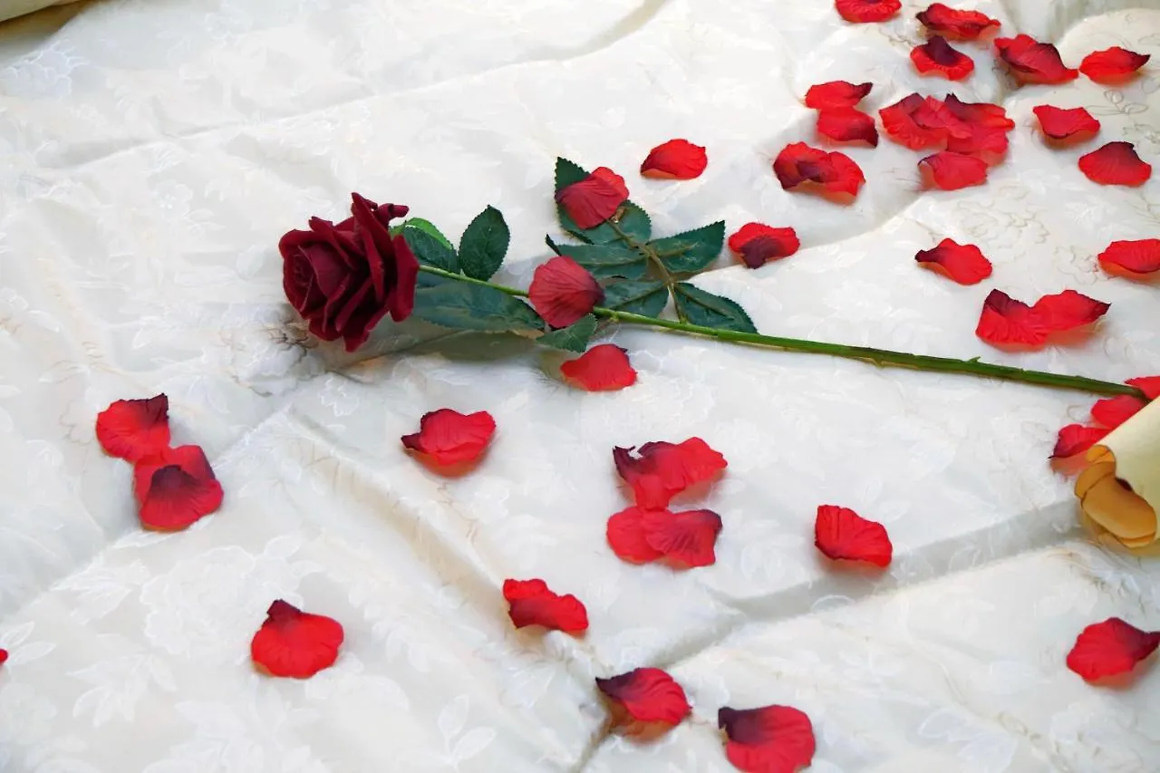 Termini Terrace Bed & Breakfast Roma